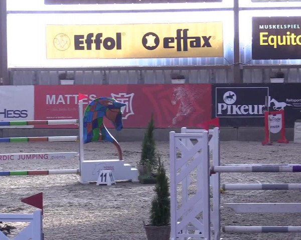 7. Nordic Jumping event Negernbötel 2023