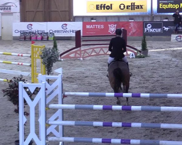 7. Nordic Jumping event Negernbötel 2023