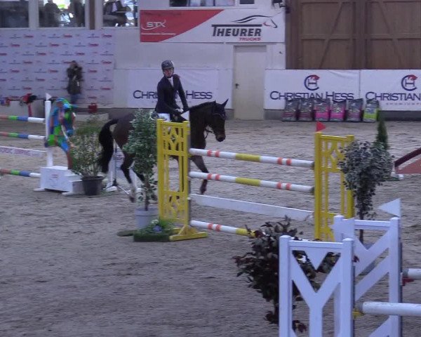 7. Nordic Jumping event Negernbötel 2023