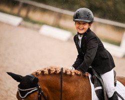 dressage horse Max 4315 (Pony without race description, 2012)