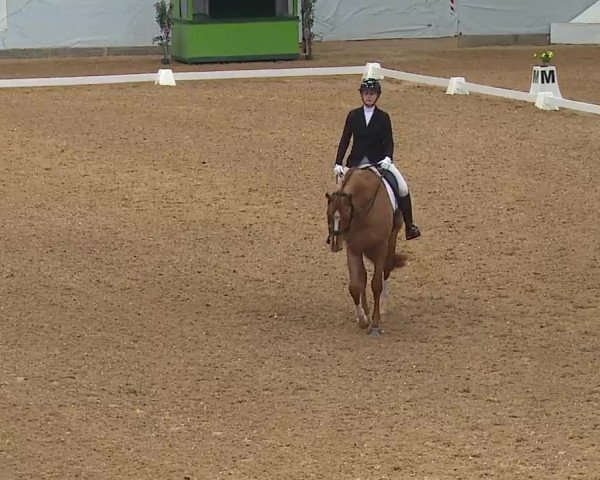 Reitturnier Kreuth 2023