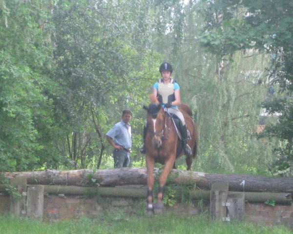 broodmare Wanessa (Hanoverian, 1999, from Weltmeyer)