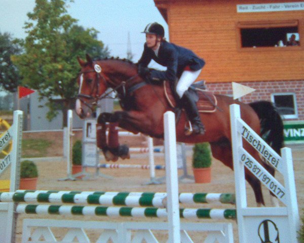 jumper Little Foot 56 (Westphalian, 2002, from Laomedon)