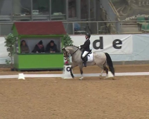 Reitturnier Kreuth 2023