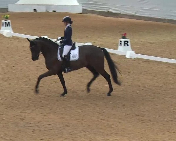 Reitturnier Kreuth 2023