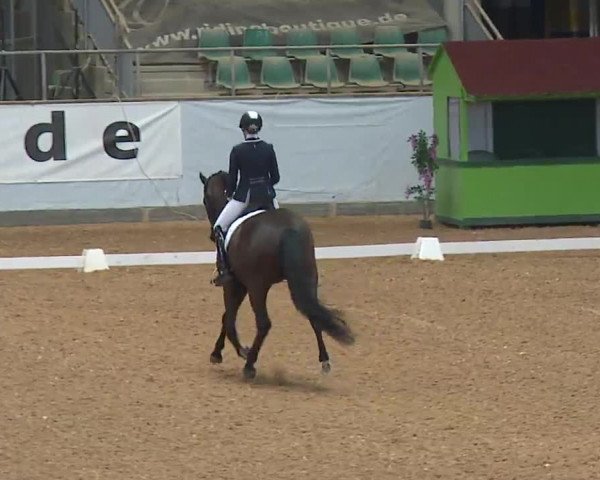 Reitturnier Kreuth 2023