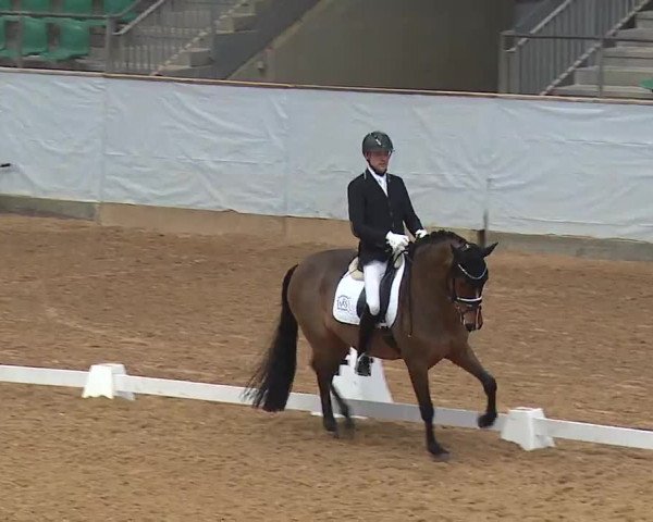 Reitturnier Kreuth 2023