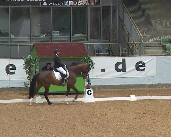 Reitturnier Kreuth 2023