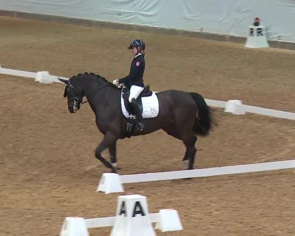Reitturnier Kreuth 2023