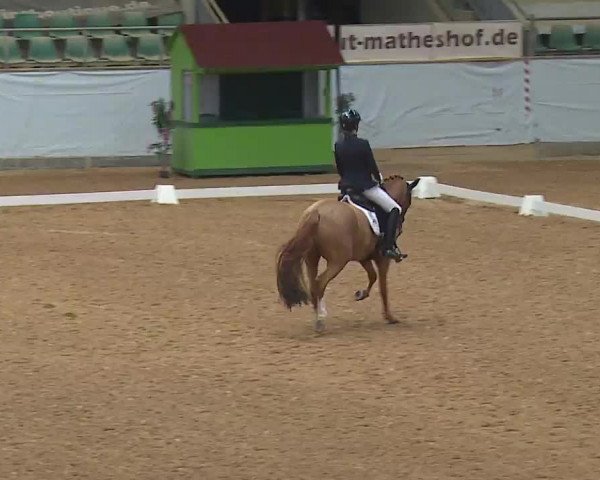 Reitturnier Kreuth 2023