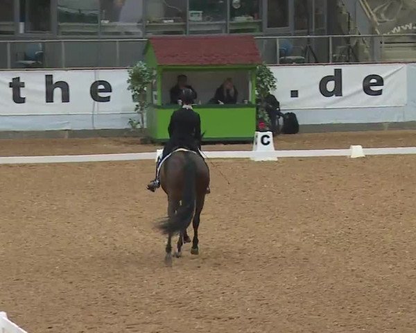 Reitturnier Kreuth 2023