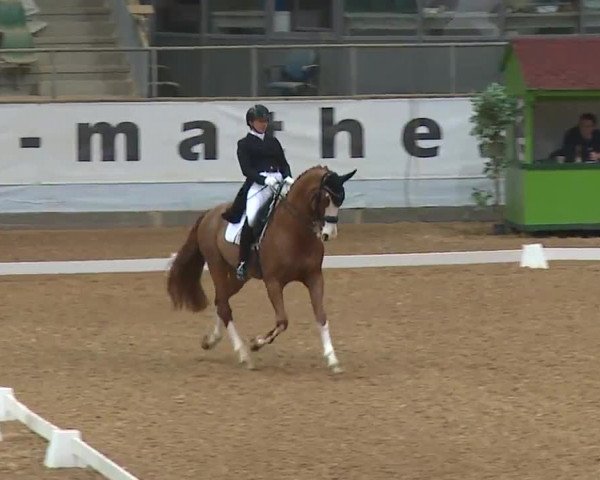 Reitturnier Kreuth 2023