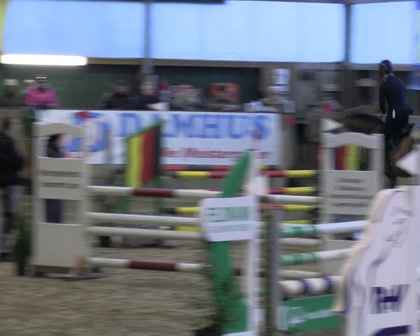 Reitturnier Velen 2023