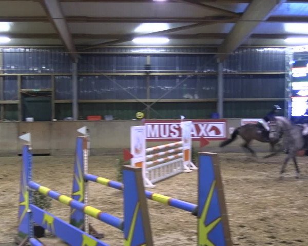 Reitturnier Velen 2023