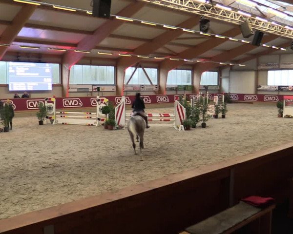 Reitturnier Goch-Asperden 2023