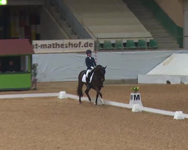 Reitturnier Kreuth 2023