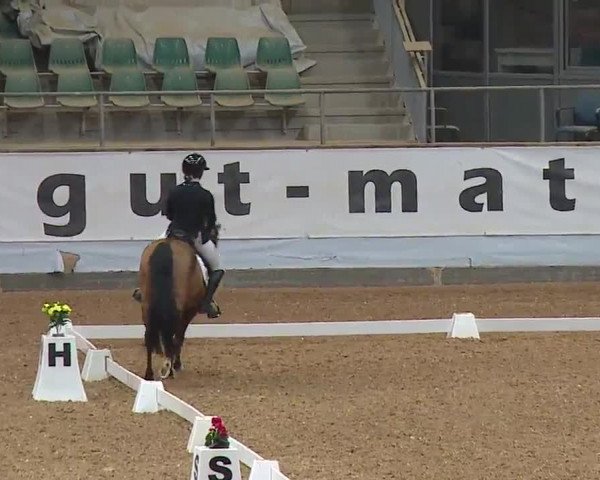 Reitturnier Kreuth 2023