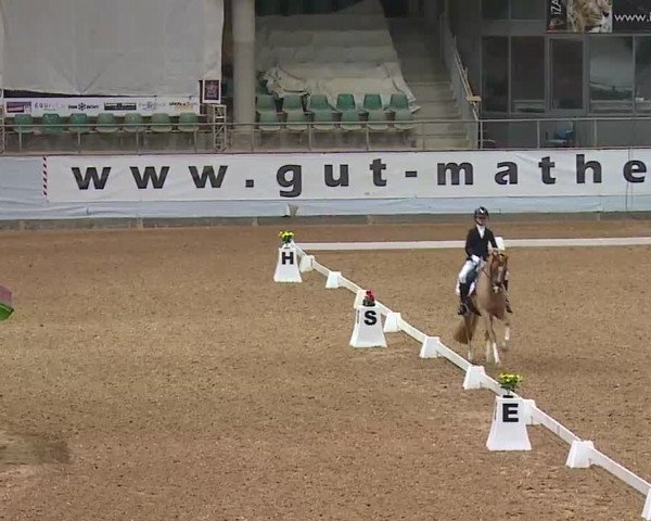Reitturnier Kreuth 2023