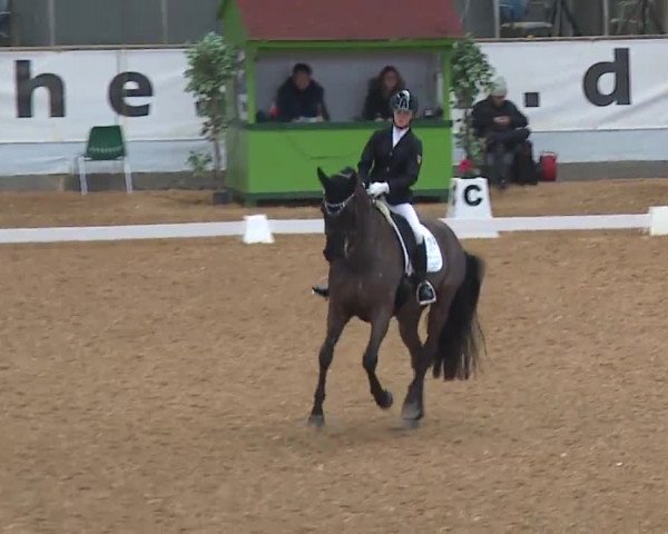 Reitturnier Kreuth 2023