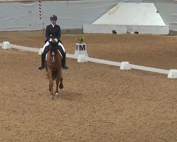 Reitturnier Kreuth 2023