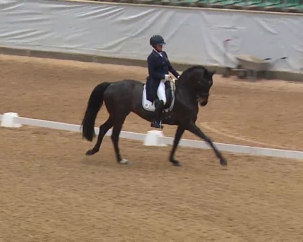 Reitturnier Kreuth 2023