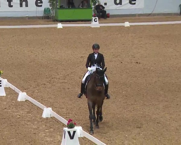 Reitturnier Kreuth 2023