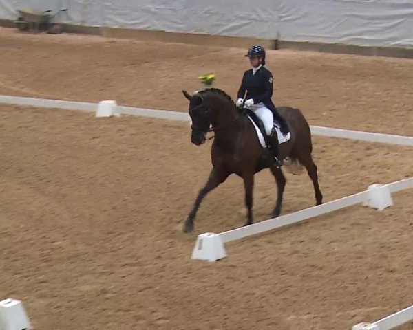 Reitturnier Kreuth 2023