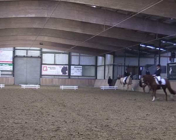 Reitturnier Rhede 2023