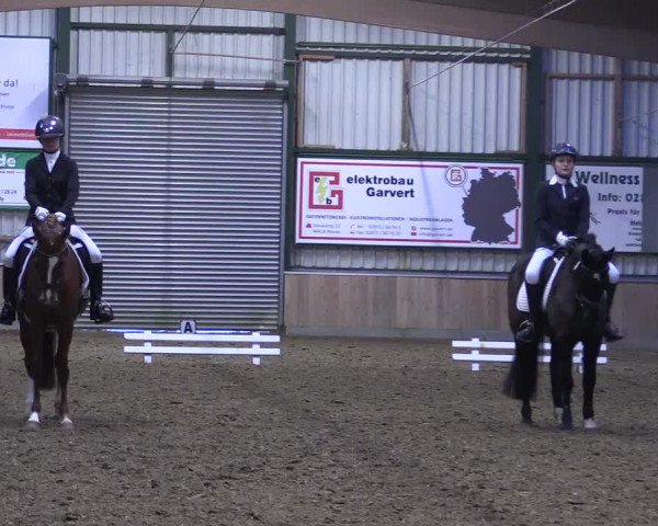 Reitturnier Rhede 2023