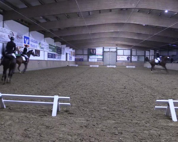 Reitturnier Rhede 2023