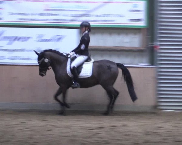 Reitturnier Rhede 2023
