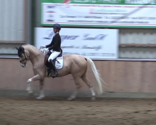 Reitturnier Rhede 2023