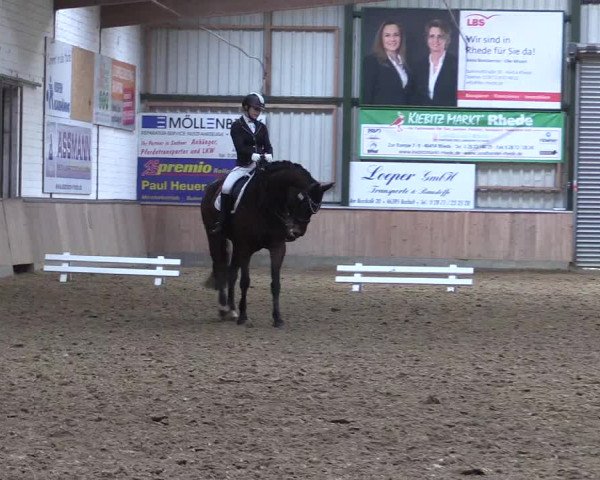 Reitturnier Rhede 2023