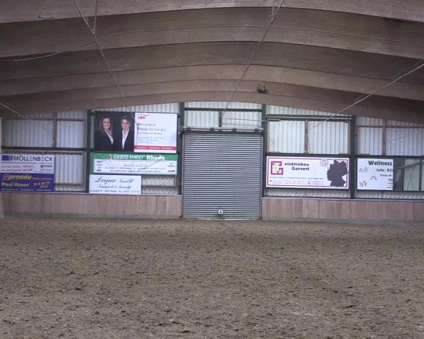Reitturnier Rhede 2023