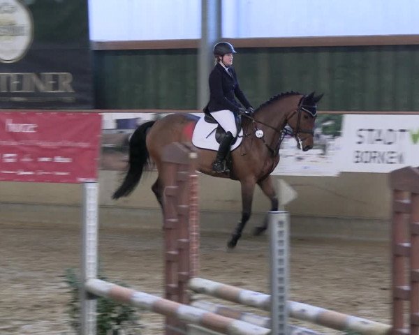Reitturnier Velen 2023