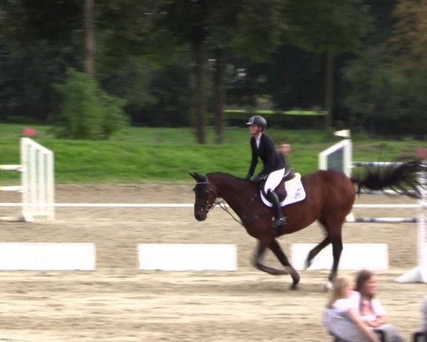 Springturnier Lüdinghausen 2021