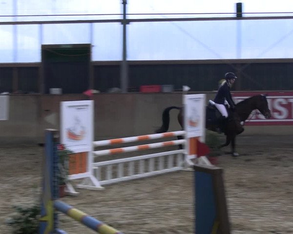 Reitturnier Velen 2023