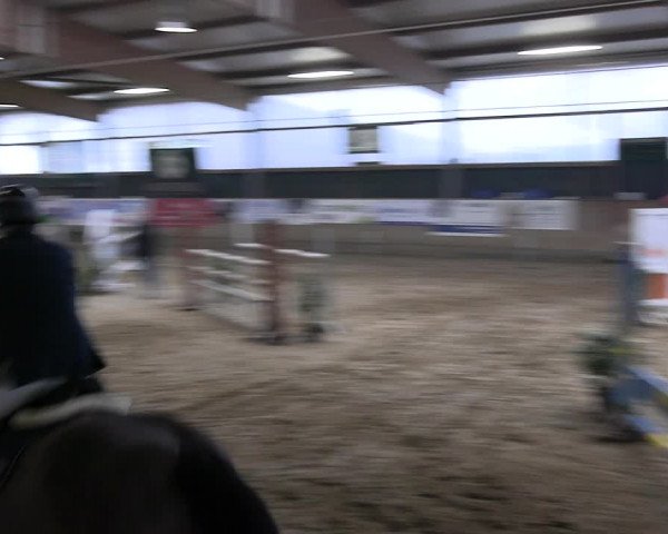 Reitturnier Velen 2023