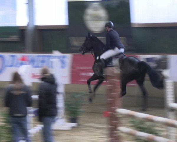 Reitturnier Velen 2023
