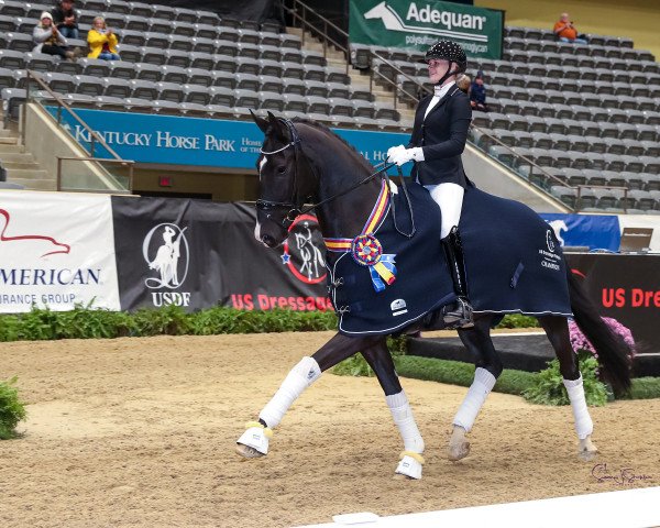 horse Felix (Westphalian, 2015, from Fashion Maker)