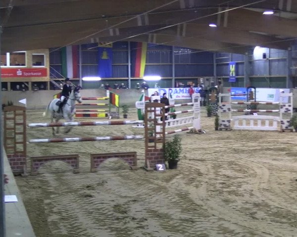 Reitturnier Velen 2023