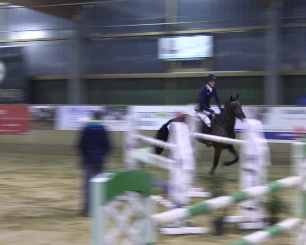 Reitturnier Velen 2023