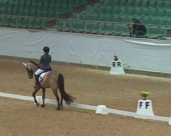 Reitturnier Kreuth 2023