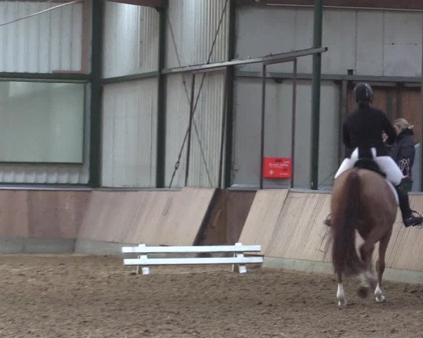 Reitturnier Rhede 2023