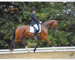 broodmare Flash Diamond N (Hanoverian, 2006, from Fürst Heinrich)
