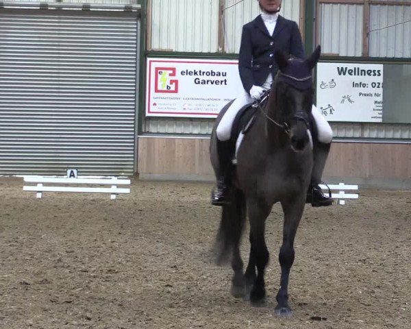 Reitturnier Rhede 2023