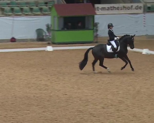 Reitturnier Kreuth 2023
