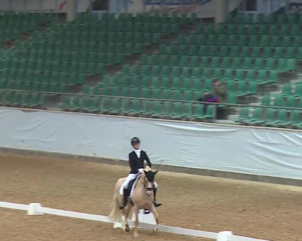 Reitturnier Kreuth 2023