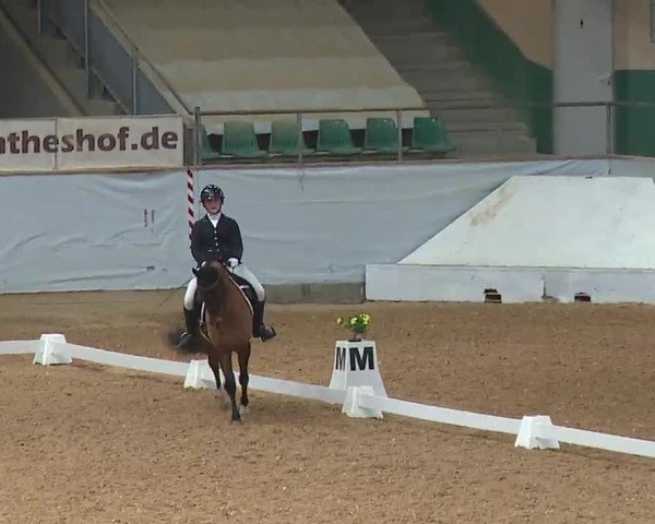 Reitturnier Kreuth 2023