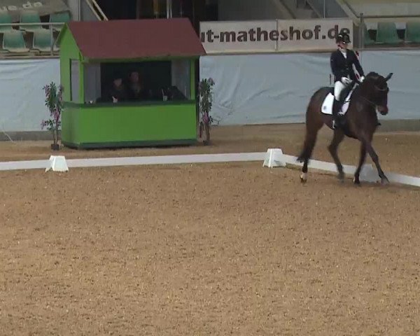 Reitturnier Kreuth 2023